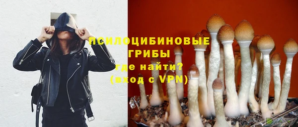 спиды Белоозёрский
