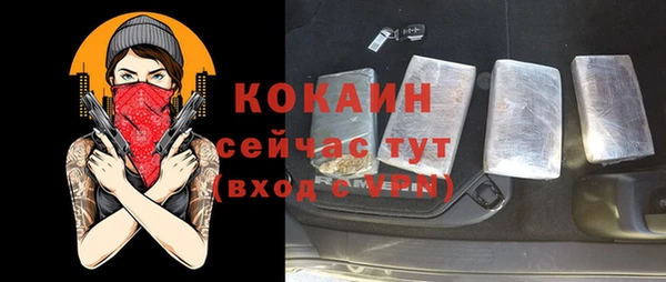 сатива Белокуриха