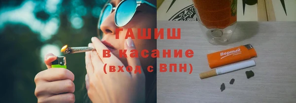 сатива Белокуриха