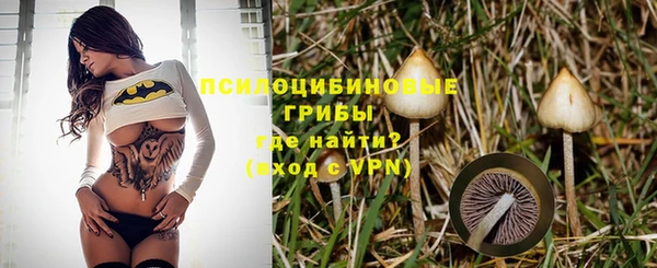 спиды Белоозёрский