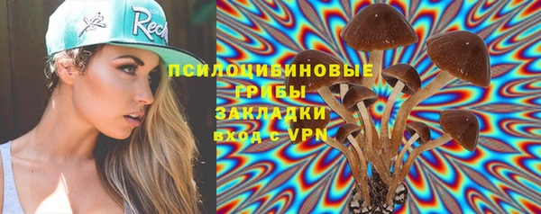 сатива Белокуриха