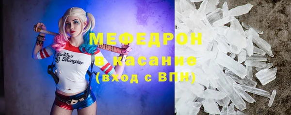 сатива Белокуриха